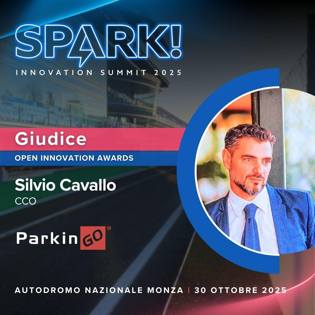 Silvio Cavallo